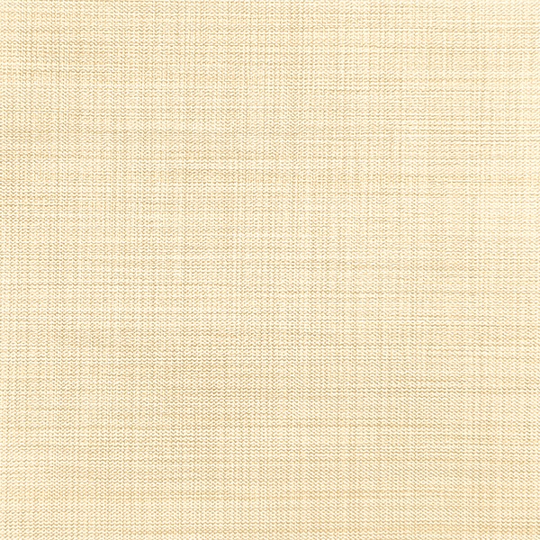 Ткань для рулонных штор Benone 7858 - изображение 1 - заказать онлайн в салоне штор Benone в Ликино-Дулево